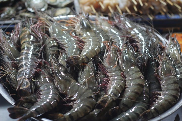 Les exportations de crevettes vers les pays parties à l accord de libre-échange CPTPP en forte croissance